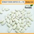 2014 crop big white kidney beans